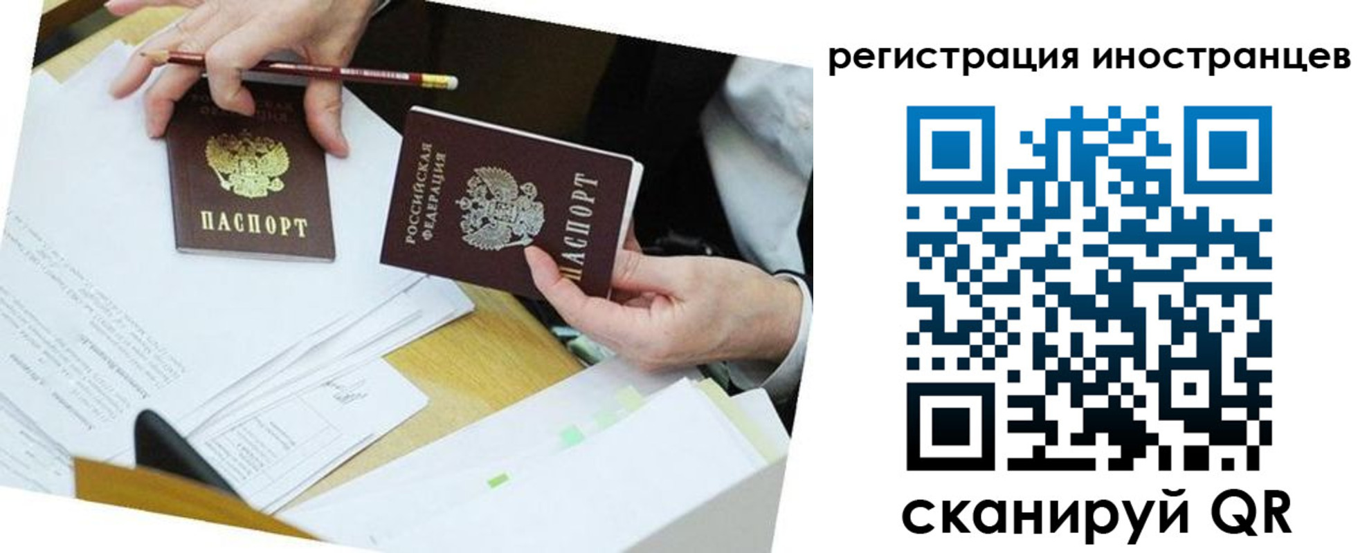 прописка ребенка в Благодарном